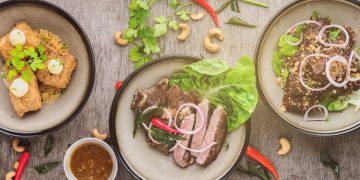 Allowing your cat to roam outdoors